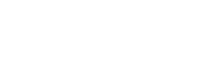 Varisson